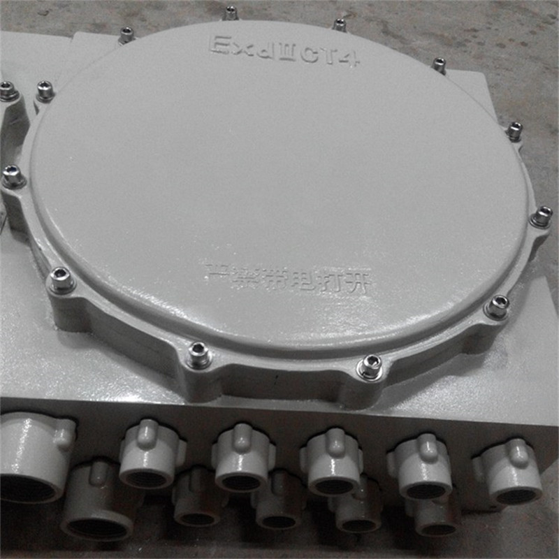防爆箱IIC.jpg